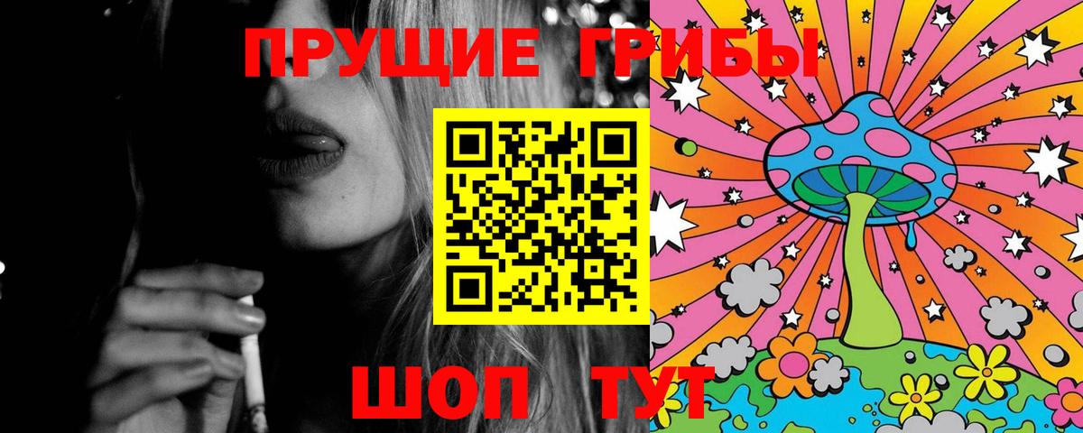 Псилоцибиновые грибы Psilocybe  Вход с VPN  Шумерля 